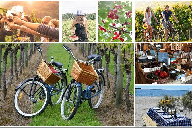 Guided Farm and Wine Country Bike Tour in Mattituck NY - Key things to know before you ride