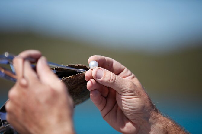 Guided Paspaley Pearl Farm Tour with Return Transfers - Key things to know before you go