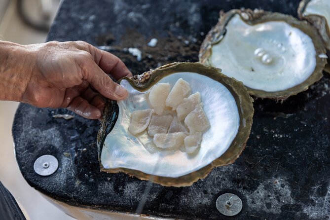 Guided Paspaley Pearl Farm Tour with Return Transfers - The live cultured-pearl reveal and why it changes everything