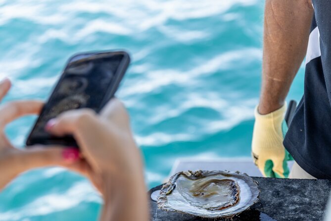 Guided Paspaley Pearl Farm Tour with Return Transfers - Should you book the Paspaley Pearl Farm Tour?