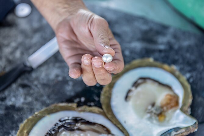 Guided Paspaley Pearl Farm Tour with Return Transfers - Hotel pickup and Gantheaume Point boarding: plan for the beach