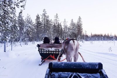 Guided reindeer farm visit and one hour sledge safari - Small Group Ride: Why Max 16 Makes a Difference