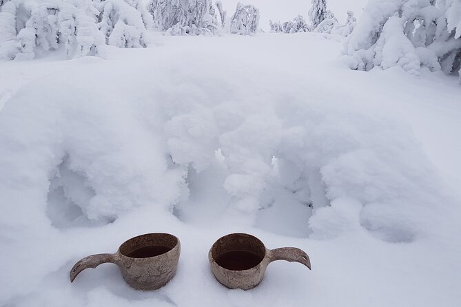 Guided reindeer farm visit and one hour sledge safari - Price and Value: Is $156.03 a Fair Deal?