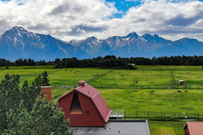 Guided Tour of Musk Ox Farm & Scenic Drive from Anchorage - A scenic northbound drive out of Anchorage