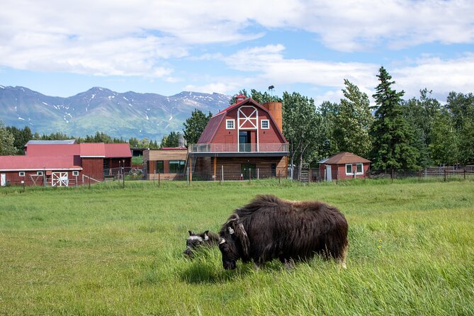Guided Tour of Musk Ox Farm & Scenic Drive from Anchorage - Timing that respects your day: around 3 hours, then freedom