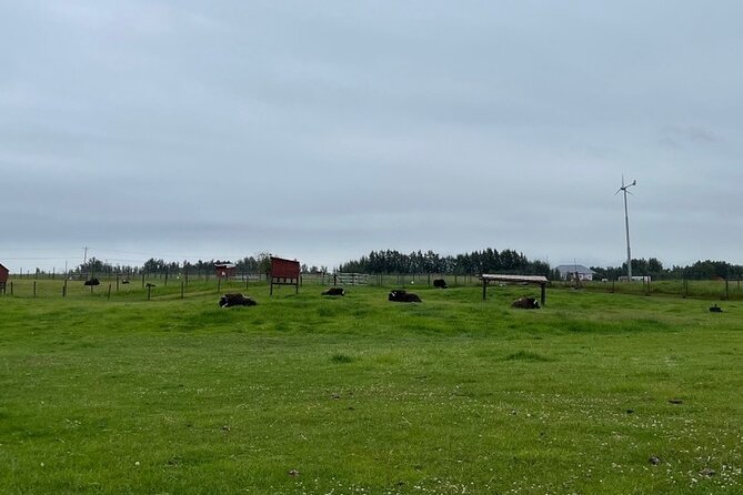 Guided Tour of Musk Ox Farm & Scenic Drive from Anchorage - Weather and rescheduling: how the tour handles the Alaska reality