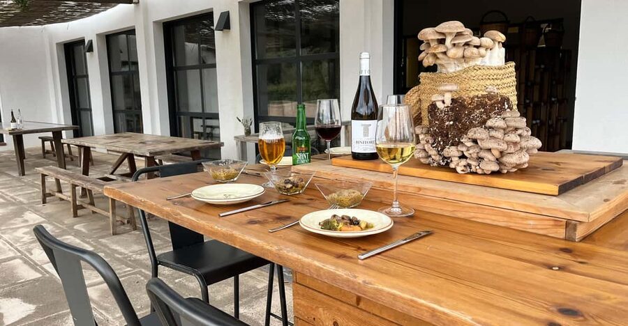 GUIDED TOUR + TASTE IN A MUSHROOM FARM - Laboratory to production areas: seeing cultivation as a system