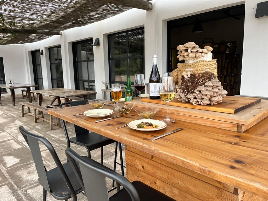 GUIDED TOUR + TASTE IN A MUSHROOM FARM - Mycology intro with videos and images: what you’re meant to learn