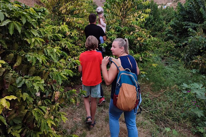 Guided Tour to the only coffee farm in Europe - The guide factor: why Manolo Mateos is a big part of the value