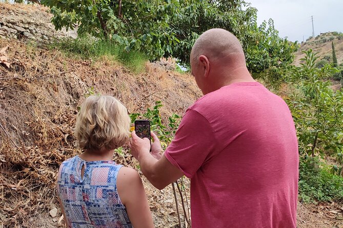 Guided Tour to the only coffee farm in Europe - Who should book this coffee-and-tropics tour from Malaga