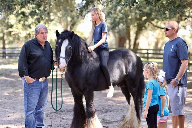 Gypsy Gold Horse Farm Tour - Best for families, horse lovers, and curious people