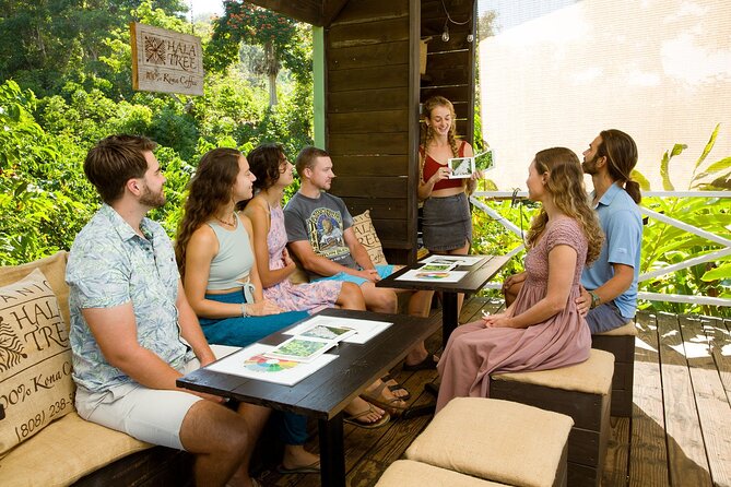 Hala Tree Coffee Farm Tour - A One-Hour Kona Coffee Lesson Near Captain Cook