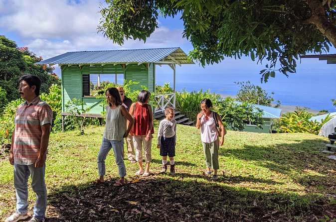 Hala Tree Coffee Farm Tour - The Coffee Flight on a Shaded Deck and a Big View