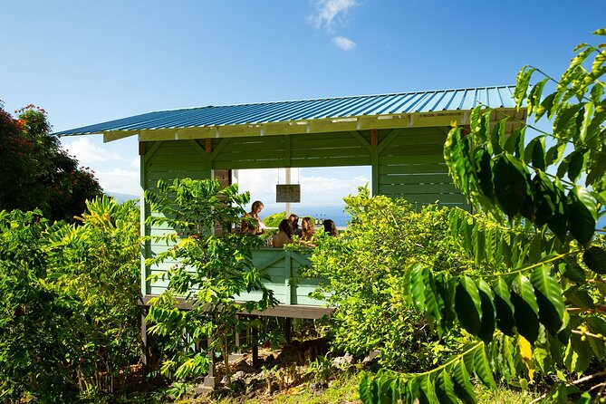 Hala Tree Coffee Farm Tour - Finding Hala Tree Coffee: The Start Address and What to Expect