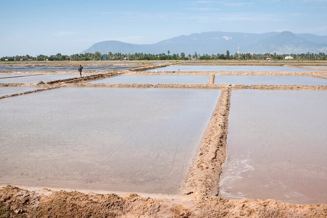Half-Day Adventure to the Pepper Farm by Scooter - Getting off Kampot’s main roads on a small-group scooter