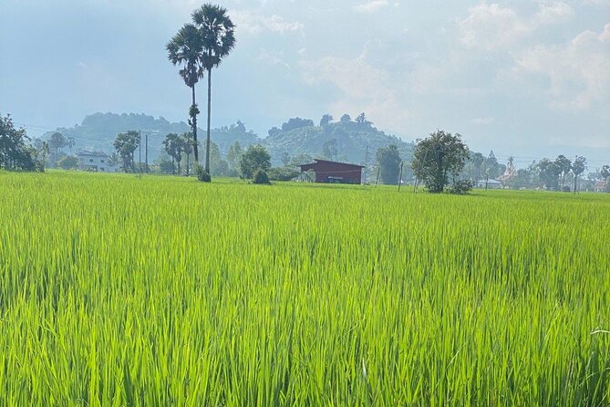 Half-Day Adventure to the Pepper Farm by Scooter - Secret Lake’s Khmer Rouge connection (why this stop hits)