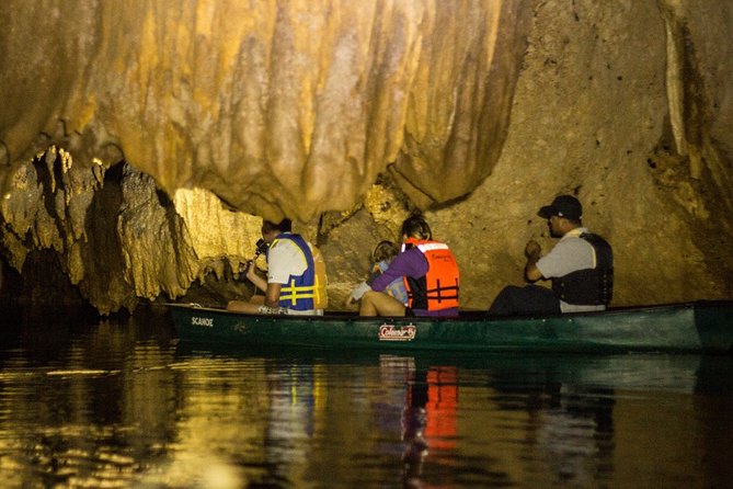 Half-Day Barton Creek Cave with Optional Zipline, Butterfly Farm Or Rock Falls - Butterfly Farm and Botanical Garden: Orchids and Exotic Color