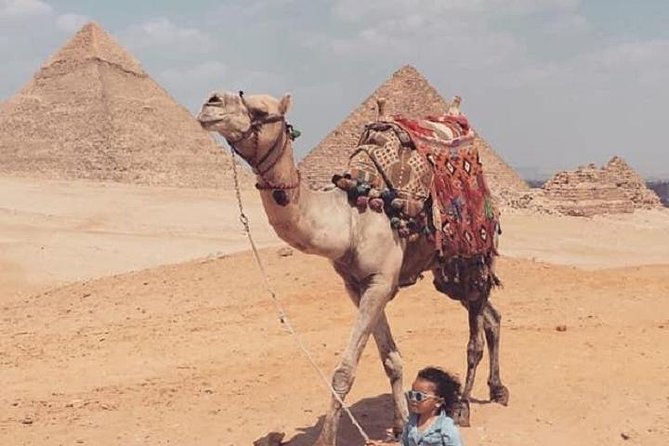 Half-Day Egypt Countryside Farm Tour. - Price and value: does $130 make sense for what you get?