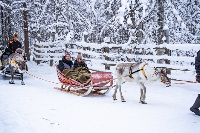 Half-Day Experience in Local reindeer farm in Lapland - A Real Working Farm Near Rovaniemi (Not Just a Photo Stop)