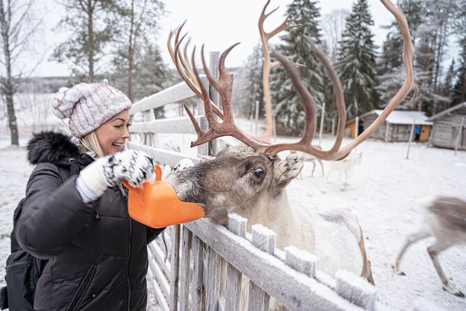 Half-Day Experience in Local reindeer farm in Lapland - Herding Stories, Safety, and Feeding Time You Can Actually Feel