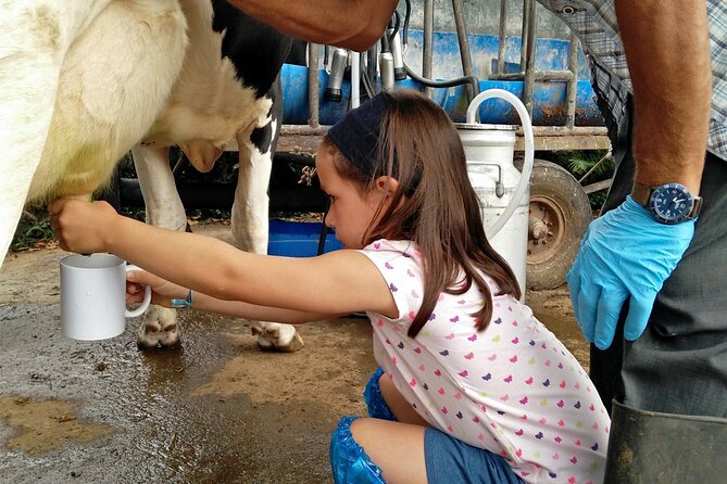 Half-Day Farm Visit and Cow Milking Experience - Key Highlights You’ll Feel Fast