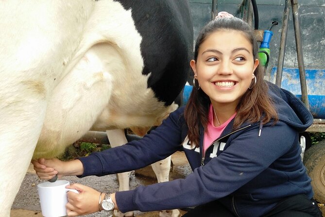 Half-Day Farm Visit and Cow Milking Experience - Outdoor Cow Milking at a Terceira Dairy Farm (Praia da Vitória)