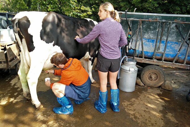 Half-Day Farm Visit and Cow Milking Experience - Price and Value: What $72.09 Buys You in Real Terms