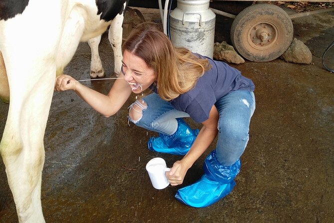 Half-Day Farm Visit and Cow Milking Experience - Who This Farm + Milking Tour Suits Best (and Who Might Hesitate)