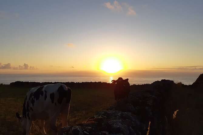 Half-Day Farm Visit and Cow Milking Experience - Weather, Small Print, and How to Plan Your Day