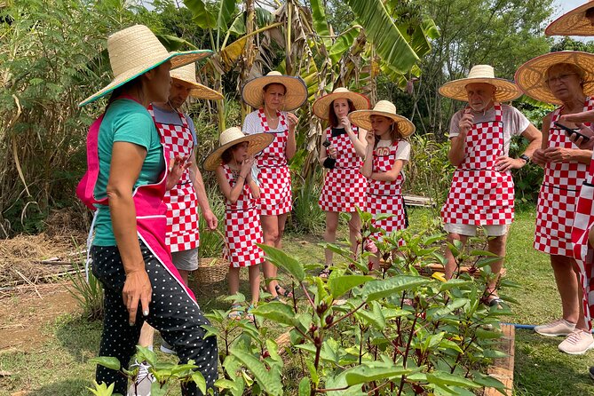 Half-Day Thai Cooking Class at Organic Farm in Chiang Mai - Key things to know before you go