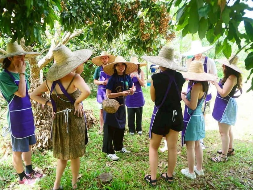 Half-Day Thai Cooking Class on a Local Farm Near Chiang Mai - The Cooking Class Menu: Curry Paste to Spring Rolls