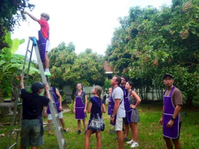 Half-Day Thai Cooking Class on a Local Farm Near Chiang Mai - Seasonal Fruit Picking: Longans and Mangoes from the Trees