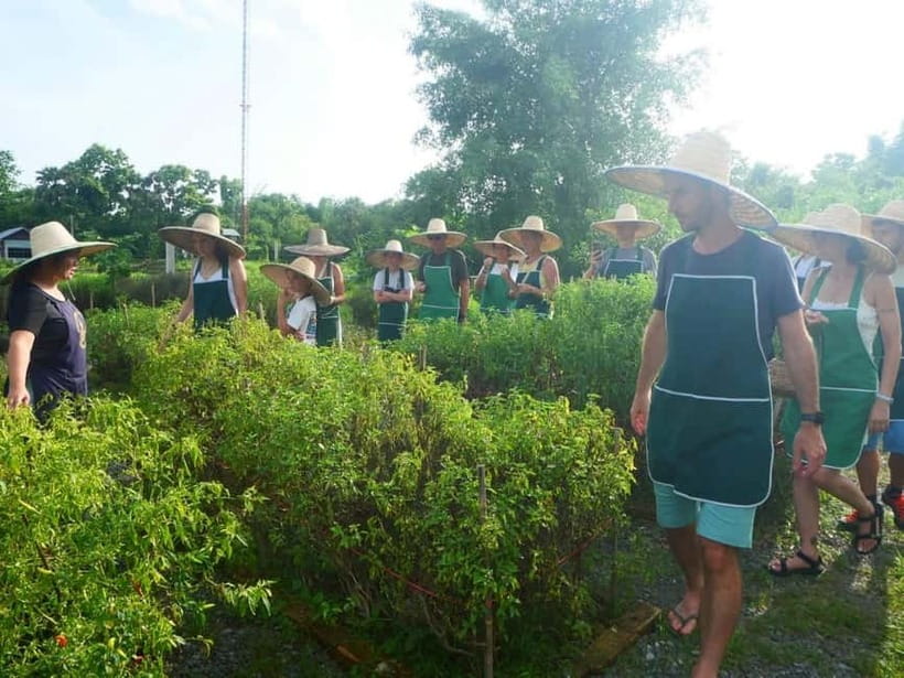 Half-Day Thai Cooking Class on a Local Farm Near Chiang Mai - Should You Book Smile Organic Farm Cooking School?