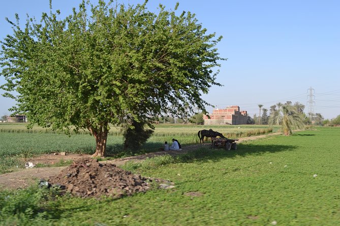 Half-Day Trip to Egyptian Green Farm from Cairo with Breakfast - The Breakfast Part: A Hearty Meal With a View