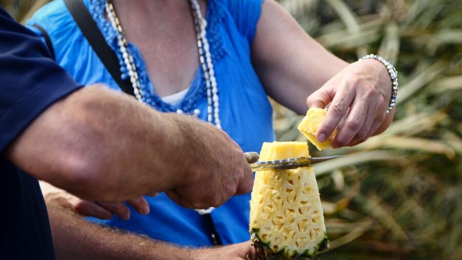 Hali'imaile: Pineapple Farm Tour - Meeting point and how the 90 minutes really flows