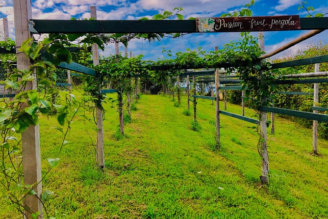 Hamakua Coast Farm Small-Group Walking and Tasting Tour - Key highlights worth making space for