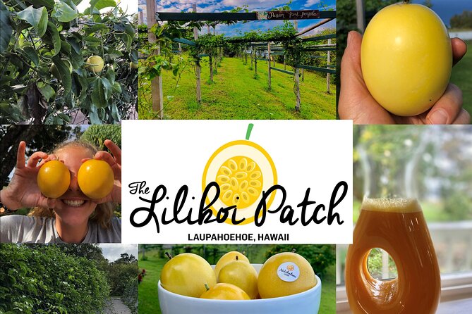 Hamakua Coast Farm Small-Group Walking and Tasting Tour - The walking loop: what “leisurely pace” feels like