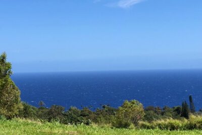 Hamakua Coast Farm Small-Group Walking and Tasting Tour - What you’ll taste: lilikoi, mamaki tea, and sugar cane juice