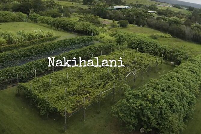 Hamakua Coast Farm Small-Group Walking and Tasting Tour - Stop focus: Nakihalani Farm’s crop mix and growing structures