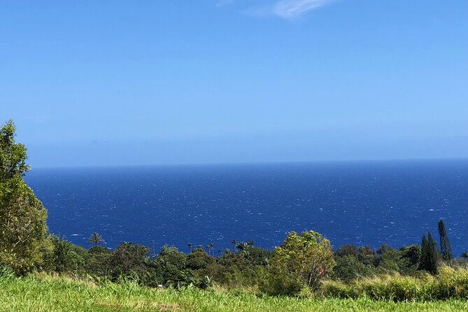 Hamakua Coast Farm Small-Group Walking and Tasting Tour - What you’ll taste: lilikoi, mamaki tea, and sugar cane juice