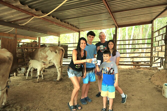 Hands-on Mexican Farm Experience: from Cow to Cheese - Key highlights you’ll care about before booking