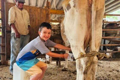 Hands-on Mexican Farm Experience: from Cow to Cheese - First taste of ranch life: animals, fruit trees, and the daily routine