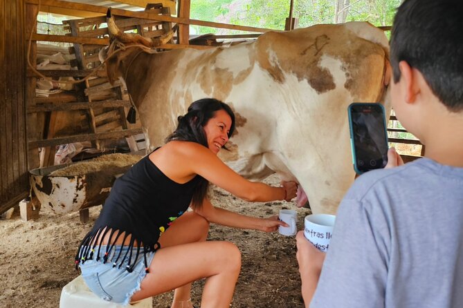Hands-on Mexican Farm Experience: from Cow to Cheese - Tortillas from scratch: hand-pressing to hot off the griddle