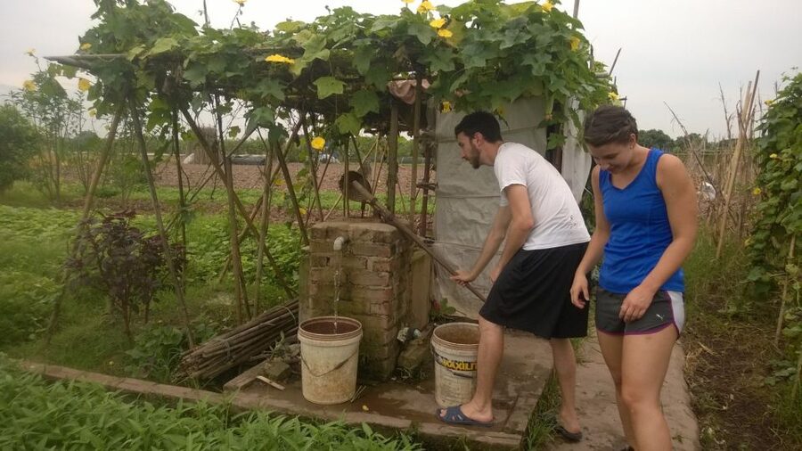 Hanoi Farm Tour and Cooking Class with Local Family - Cooking class in a family home: where the day turns practical