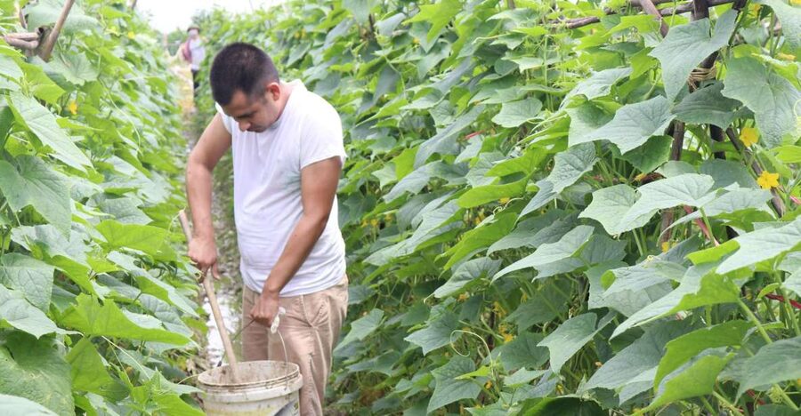 Hanoi: Village Farm Tour and Cooking Class with Lunch - Key Highlights That Make This Tour Worth It