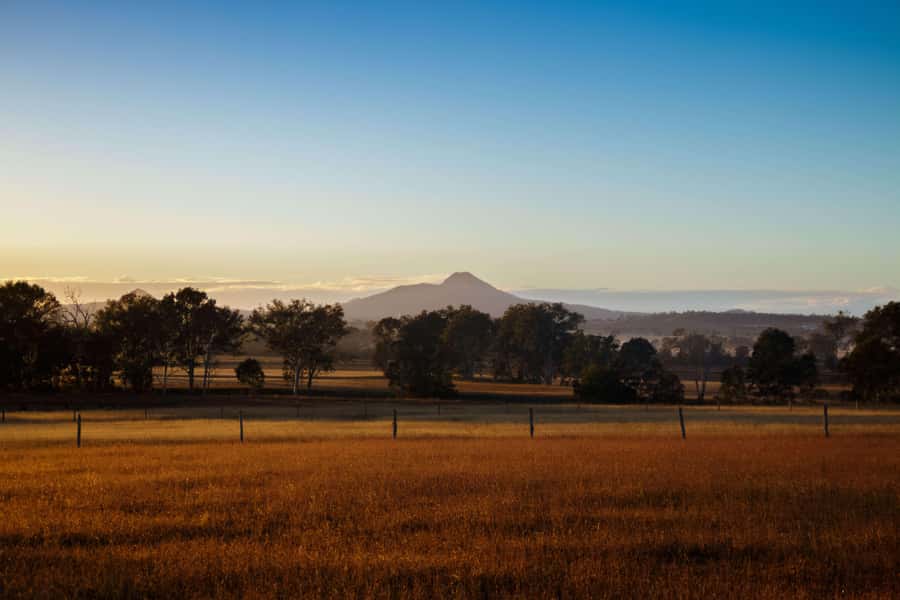 Harrisville: Summer Land Camel Farm Tour with Tasting - Camelcino at the Café: A Fun Finish for Your Day