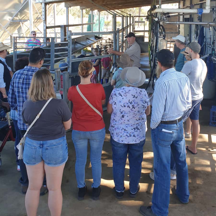 Harrisville: Summer Land Camel Farm Tour with Tasting - Should You Book the Summer Land Camel Farm Tour?