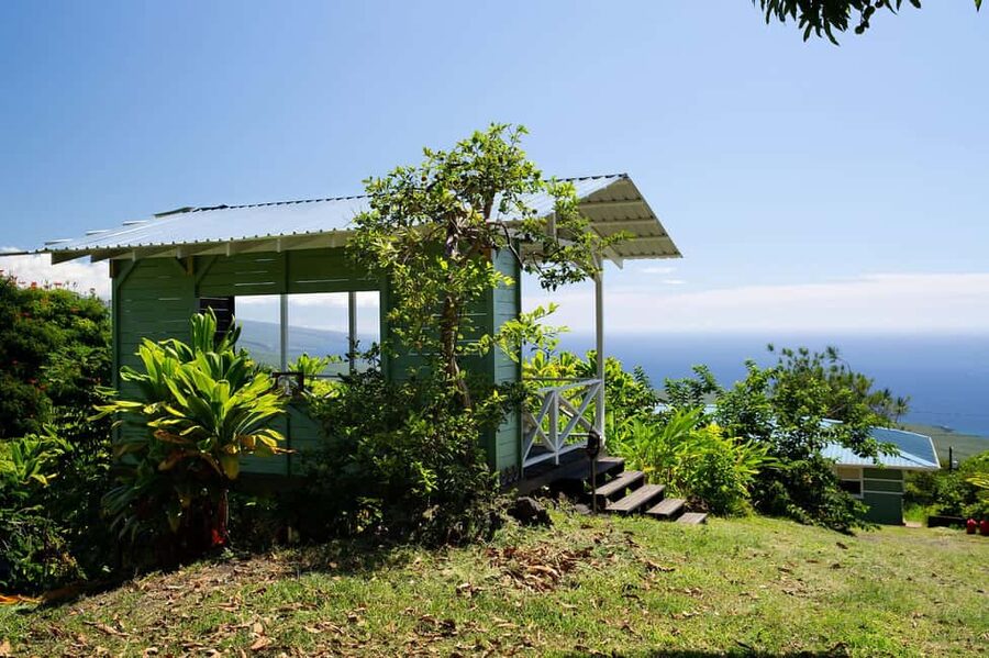 Hawaii: Hala Tree Coffee Farm Tour and Tasting - Key things that make Hala Tree different