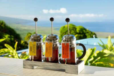 Hawaii: Hala Tree Coffee Farm Tour and Tasting - The coffee orchard walk and the “spot it” moment