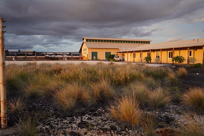 Hawaiian Salt Farm Tour in Kona - Price and Value: Is $27 Worth It?